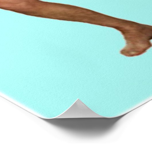 Is aardig poster (Hoek)