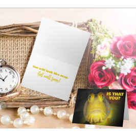 Is dat je grappige vissen goed worden? kaart