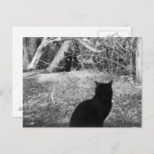 Is dat mij? briefkaart (Voorkant / Achterkant)