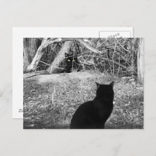 Is dat mij? briefkaart (Voorkant / Achterkant)