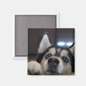 Is er iemand daarbuiten? magneet (Voorkant / Achterkant)