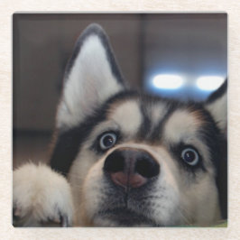 Is er iemand? glazen onderzetter