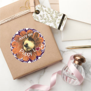 Is geen Puppy Liefde Puppy Peking Uit een Bloem Ronde Sticker