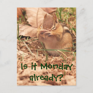 Is het al maandag? Chipmunk Briefkaart