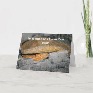 Is het al veilig? Gedekte draak Kaart