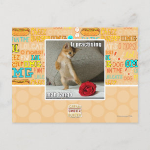 Is het beoefenen van mah tango briefkaart