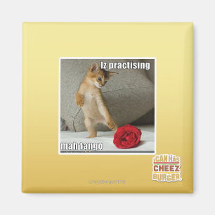 Is het beoefenen van mah tango magneet