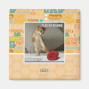 Is het beoefenen van mah tango magneet