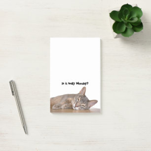 Is het echt maandag? Grappige Abyssinian Cat Meme Post-it® Notes