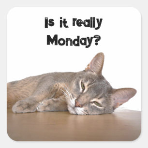 Is het echt maandag? Grappige Abyssinian Cat Meme Vierkante Sticker