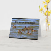 Is het jouw verjaardag? Dat is alleen Ducky. Kaart (Gele Bloem)