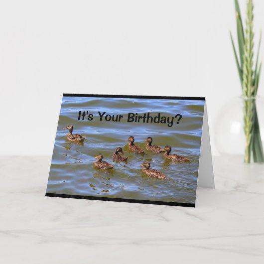 Is het jouw verjaardag? Dat is alleen Ducky. Kaart (Voorkant)
