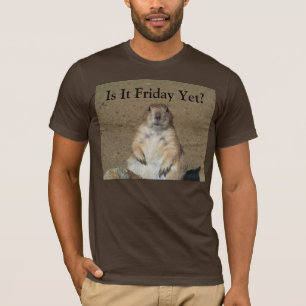 Is het nog vrijdag? Marmot T T-shirt