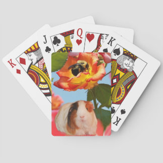 Is hij al weg? Guinese varkens die zich verbergen  Speelkaarten