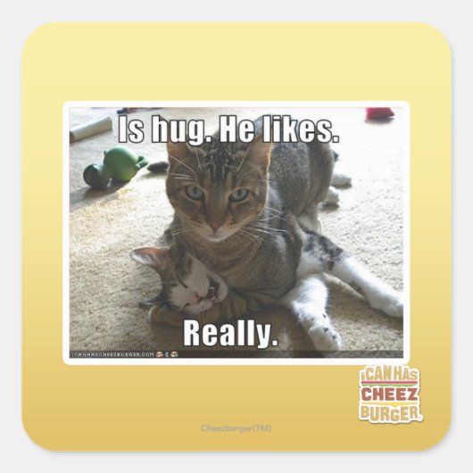 Is knuffel. Hij houdt van. Vierkante Sticker (Voorkant)