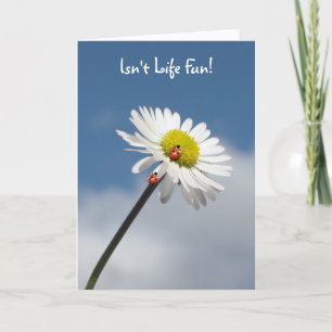 Is Life Fun niet? Kaart