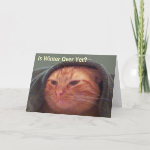 Is nog de Winter over? Het Wenskaart van de kat Feestdagen Kaart