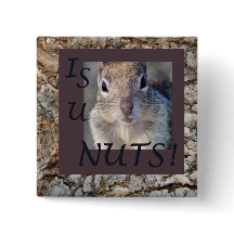 IS U NUTS!