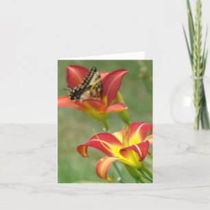 Is verder benieuwd kaart