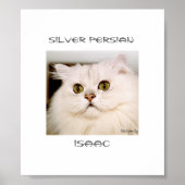Isaac, een buitengewoon zilver perzisch poster (Voorkant)