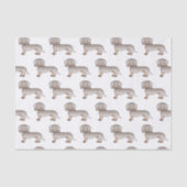 Isabella en Tan Smooth Coat Dachshund Dog Pattern Tissuepapier (Voorkant)