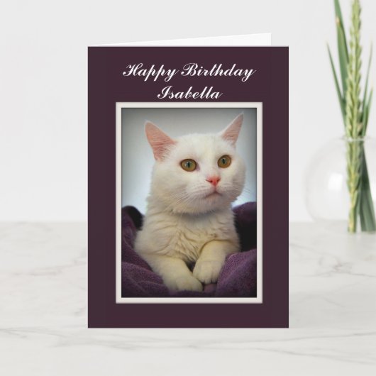 Isabella Happy Birthday White Cat Card Kaart (Voorkant)