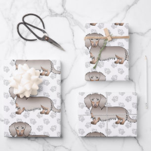 Isabella & Tan Long Hair Dachshund Pattern & Paws Inpakpapier Vel