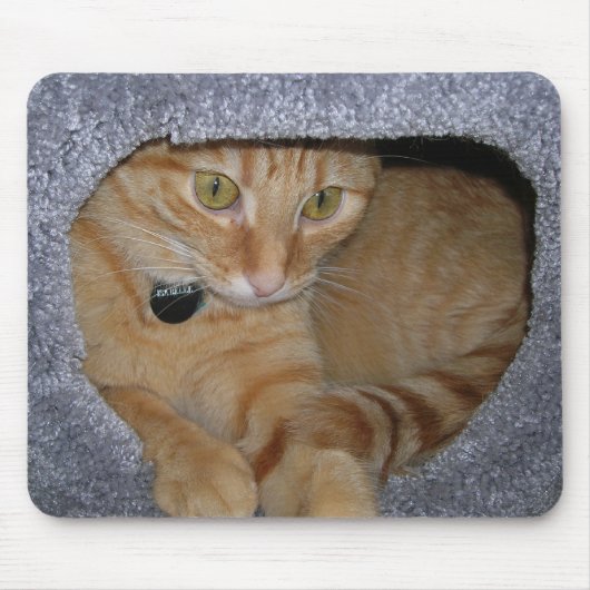 Isabelle Muismat (Voorkant)