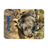 Isabelly Smirk Magnet (Horizontal)