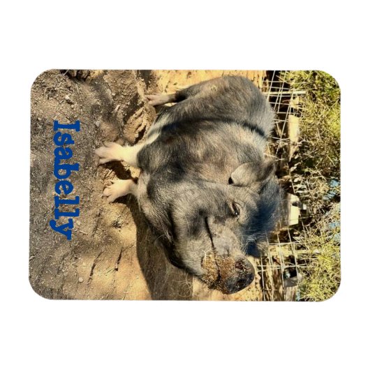 Isabelly Smirk Magnet (Horizontal)