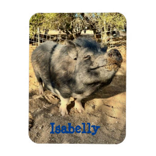 Isabelly Smirk Magnet