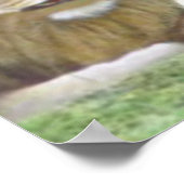 Isaiah 11: 6 Lion en de Lamb Poster (Hoek)