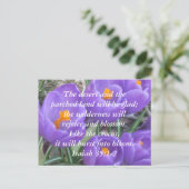Isaiah 35:1-2 ~ The Crocus Briefkaart (Staand voorkant)