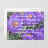 Isaiah 35:1-2 ~ The Crocus Briefkaart (Voorkant / Achterkant)