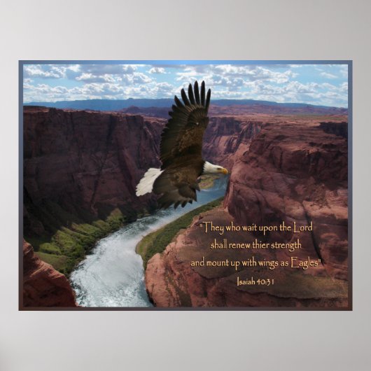 Isaiah 40:31 Poster van de Manuscript van Eagle Dr (Voorkant)