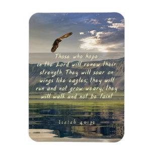 Isaiah 40:31 Soar on wings as eagles magnet Magneet