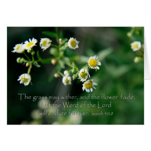 Isaiah 40:8 Het gras kan drager en vervagen