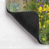 Isaiah 40:8 muismat (Hoek)