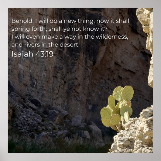Isaiah 43:19 KJV Wall Art – Scripture Poster (Devant)
