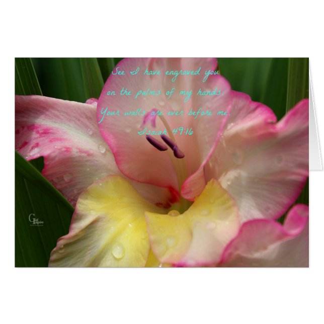 Isaiah 49:16 Roze Raindrop Gladiolus Kaart (Voorkant Horizontaal)