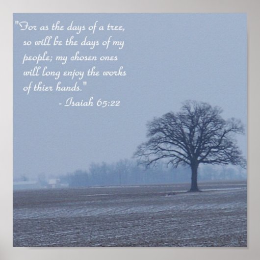 Isaiah 65:22 Bijbelverse Poster (Voorkant)
