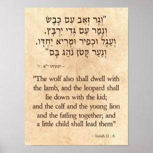 Isaiah's Wolf en Lamb Prophecy Hebreeuws - Engels Poster