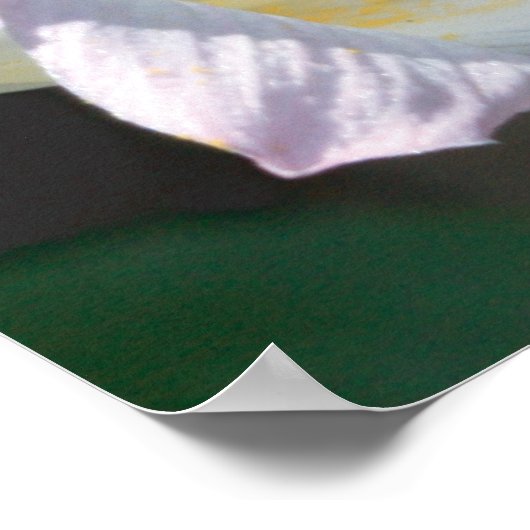 Isaias 40:8 con Lirios Poster (Hoek)