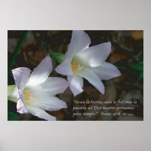 Isaias 40:8 con Lirios Poster (Voorkant)