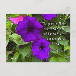 Isaïe 40:8 - Carte postale
