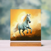 ISC: 11 Art Panneau Acrylique (Neutre)