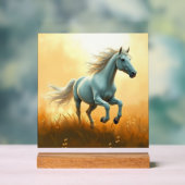 ISC: 12 Art Panneau Acrylique (Neutre)
