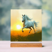ISC: 13 Art Acryl Bord (Neutraal)