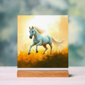 ISC: 14 Kunst Acryl Bord (Neutraal)