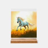 ISC: 14 Kunst Acryl Bord (Voorkant)